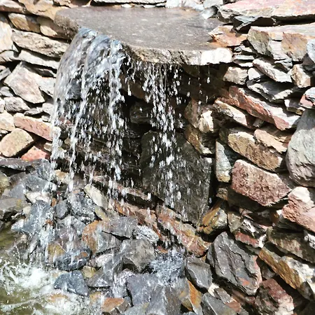 Hotel Witte-koenig 4*